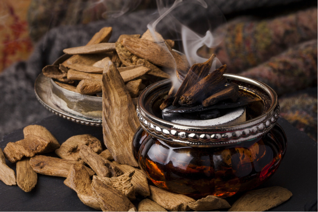 Cây trầm hương: Đặc điểm, công dụng và ý nghĩa trong đời sống