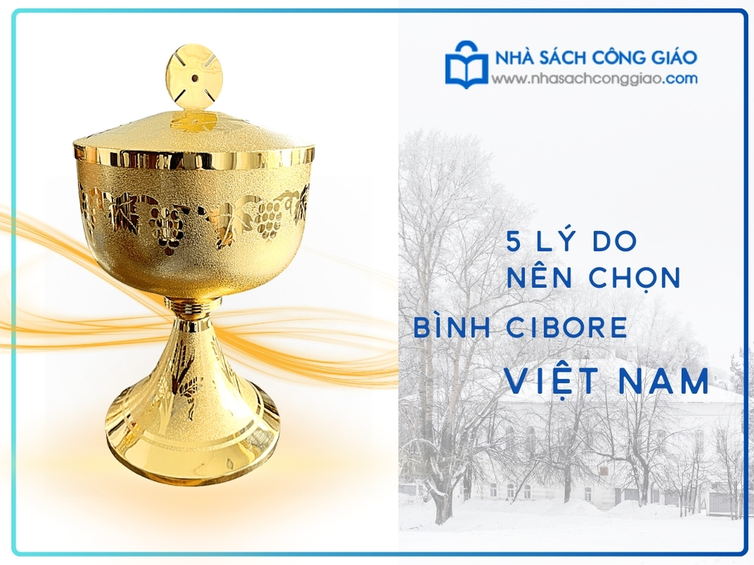 Bình Cibore Đơn giản - Sản xuất tại Việt Nam - Giá Thành Mềm