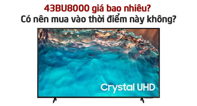 43BU8000 giá bao nhiêu? Có nên mua vào thời điểm này không?
