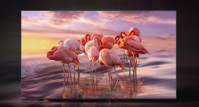 43Q60B giá bao nhiêu?