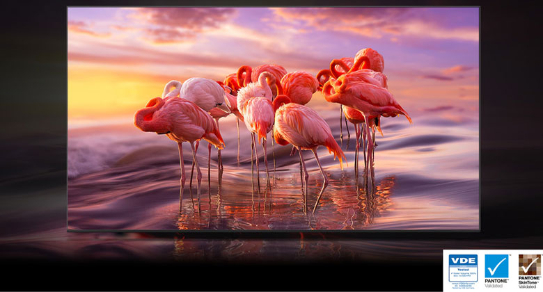 Công nghệ Quantum Dot – Màu sắc sống động và chân thực