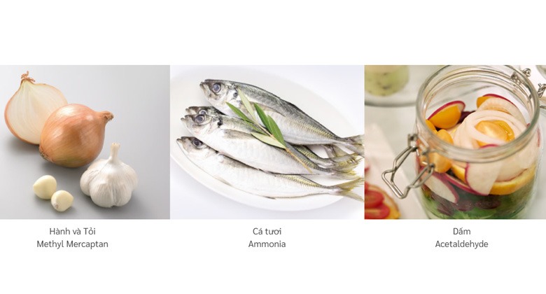 Công Nghệ Làm Lạnh Nhanh và Khử Mùi Mạnh Mẽ