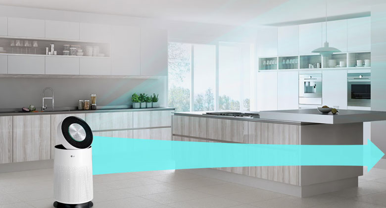 Máy lọc không khí LG PuriCare AS65GDWH0 - Hệ thống lọc Safeplus