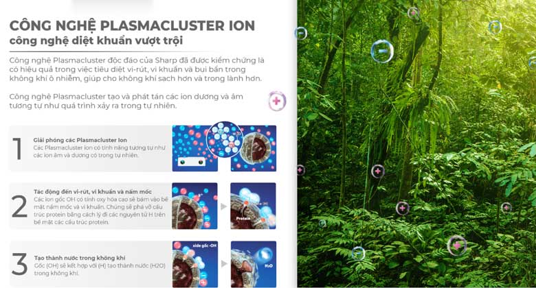 Plasmacluster Ion 25000 trên máy lọc không khí Sharp FP-J80EV-H