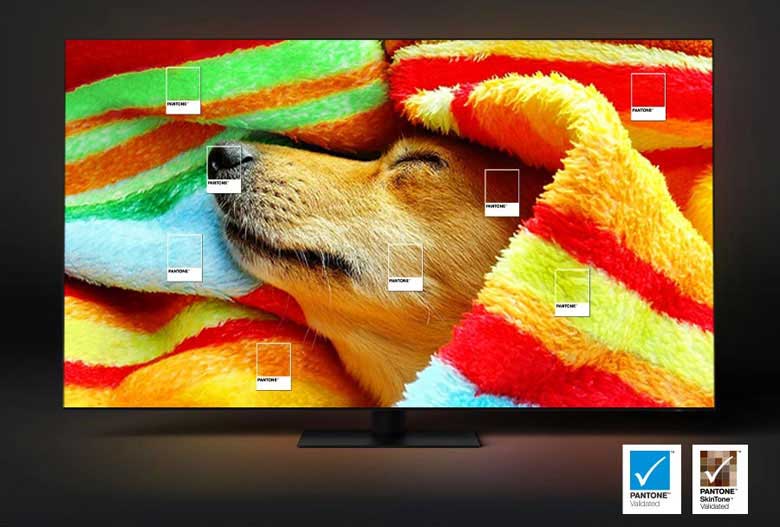 Tivi Samsung QN85C - Bảo chứng màu sắc nguyên bản từ PANTONE