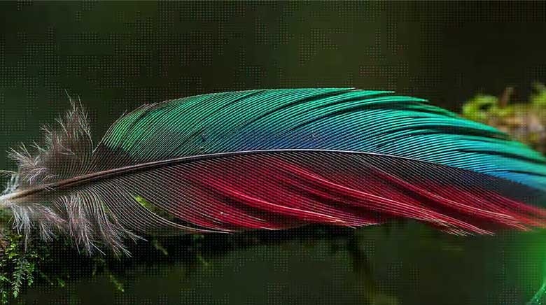 Smart Tivi LG 4K 43 inch 43NU805BPSC - Tinh chỉnh độ tương phản, tái hiện chiều sâu chân thực