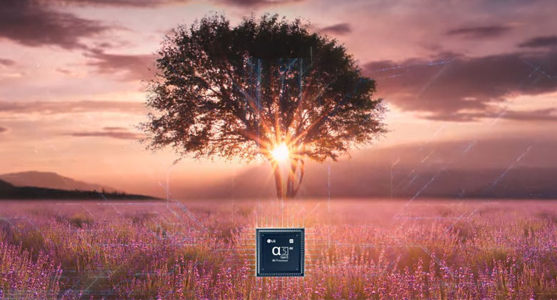 55UQ7550PSF - bộ xử lý α5 Gen5 AI 4K