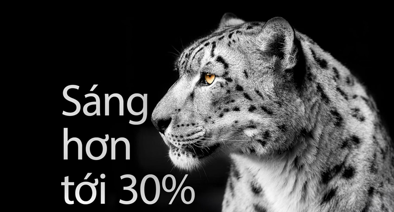 Tivi LG OLED 77 inch - Tuyệt tác bứt phá độ sáng