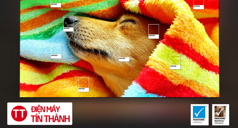 Samsung TV 55 QLED Q7F5 bảo chứng màu sắc nguyên bản từ PANTONE