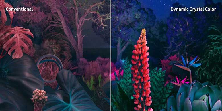 Samsung 43CU8500 - Tái hiện hình ảnh với một tỷ sắc màu thuần khiết