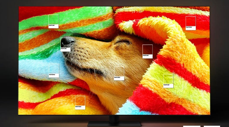 Tivi Samsung 75 inch giá rẻ - Màu sắc chuẩn PANTONE