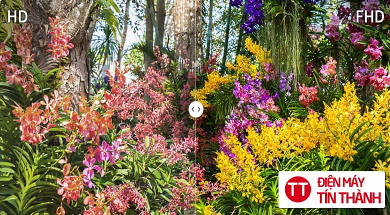 Smart Tivi QLED Samsung FHD 43 inch QA43Q5FA - Rõ nét gấp 2 lần TV HD thông thường