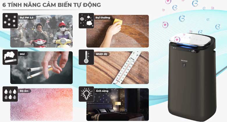 So sánh Sharp FP-J60E-W và FP-J80EV-H: Nên chọn máy nào?