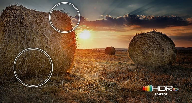 So Sánh Tivi Samsung 55 Inch: 55Q60D Và 55QN90D?