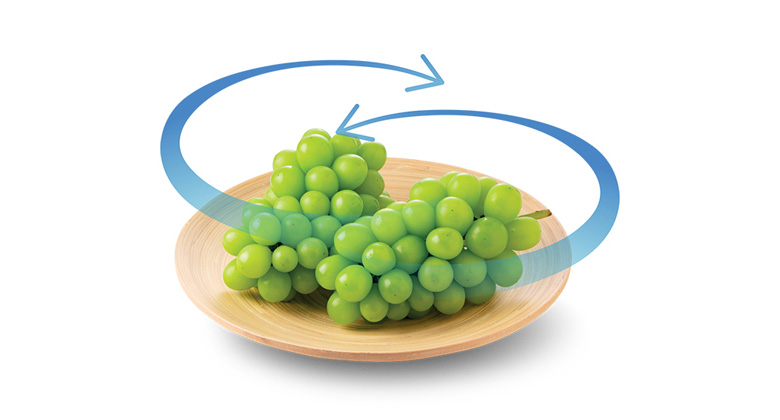 Tủ lạnh Hitachi Inverter 525 lít HRSN9552DGBVN - Công Nghệ Làm Lạnh Vòng Cung