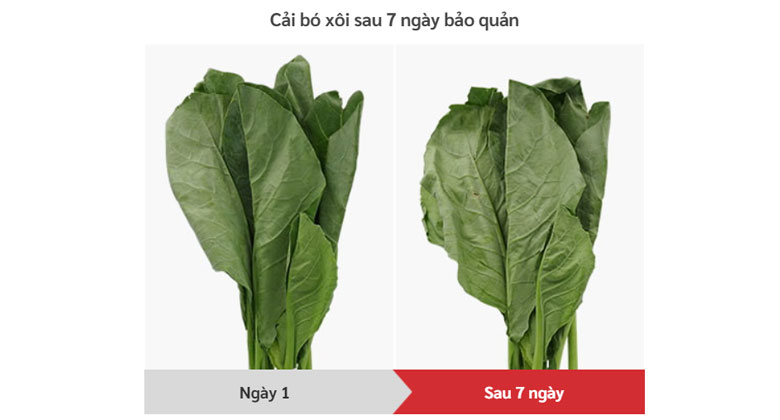 Tủ lạnh Hitachi Inverter 590 lít R-M800PGV0 GBK - Ngăn Rau Quả Riêng Biệt Duy Trì Độ Ẩm Cao, Giữ Rau Quả Tươi Ngon