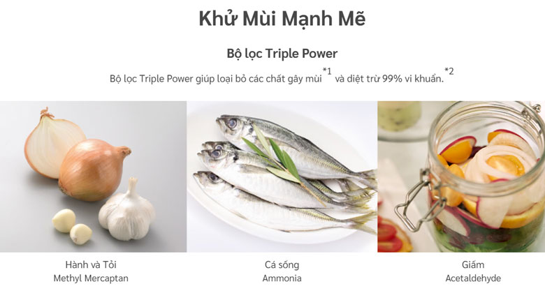 Tủ lạnh Hitachi Inverter R-M800PGV0 GBK - Bộ Lọc Triple Power Khử Mùi Và Diệt Khuẩn Mạnh Mẽ