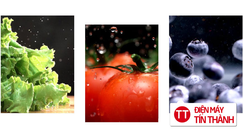 Tủ lạnh LG Inverter 315 lít LTB31BLMA bảo quản thực phẩm tươi lâu hơn