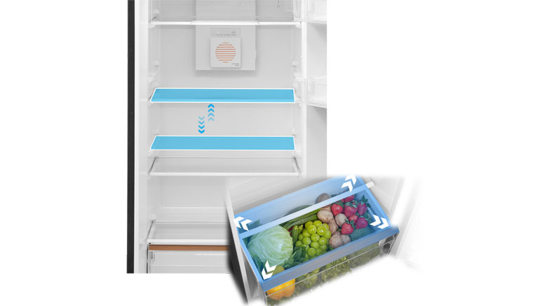Tủ lạnh Toshiba GR-RT236WE PMV(68) - Tiện Ích Thông Minh Lưu Trữ Linh Hoạt