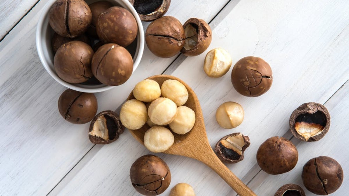 Công dụng tuyệt vời của hạt Macca đối với sức khỏe và tác dụng phụ khi sử dụng hạt Macca không đúng cách