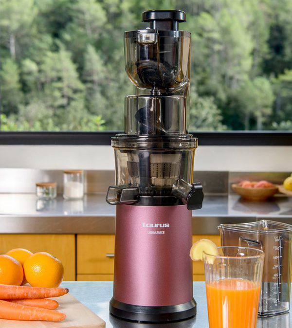 Máy ép chậm LIQUAJUICE LS-651 BM