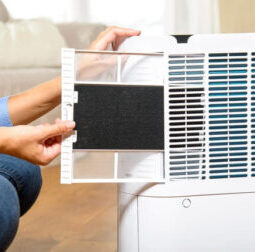 Máy lọc không khí và hút ẩm Taurus DH243