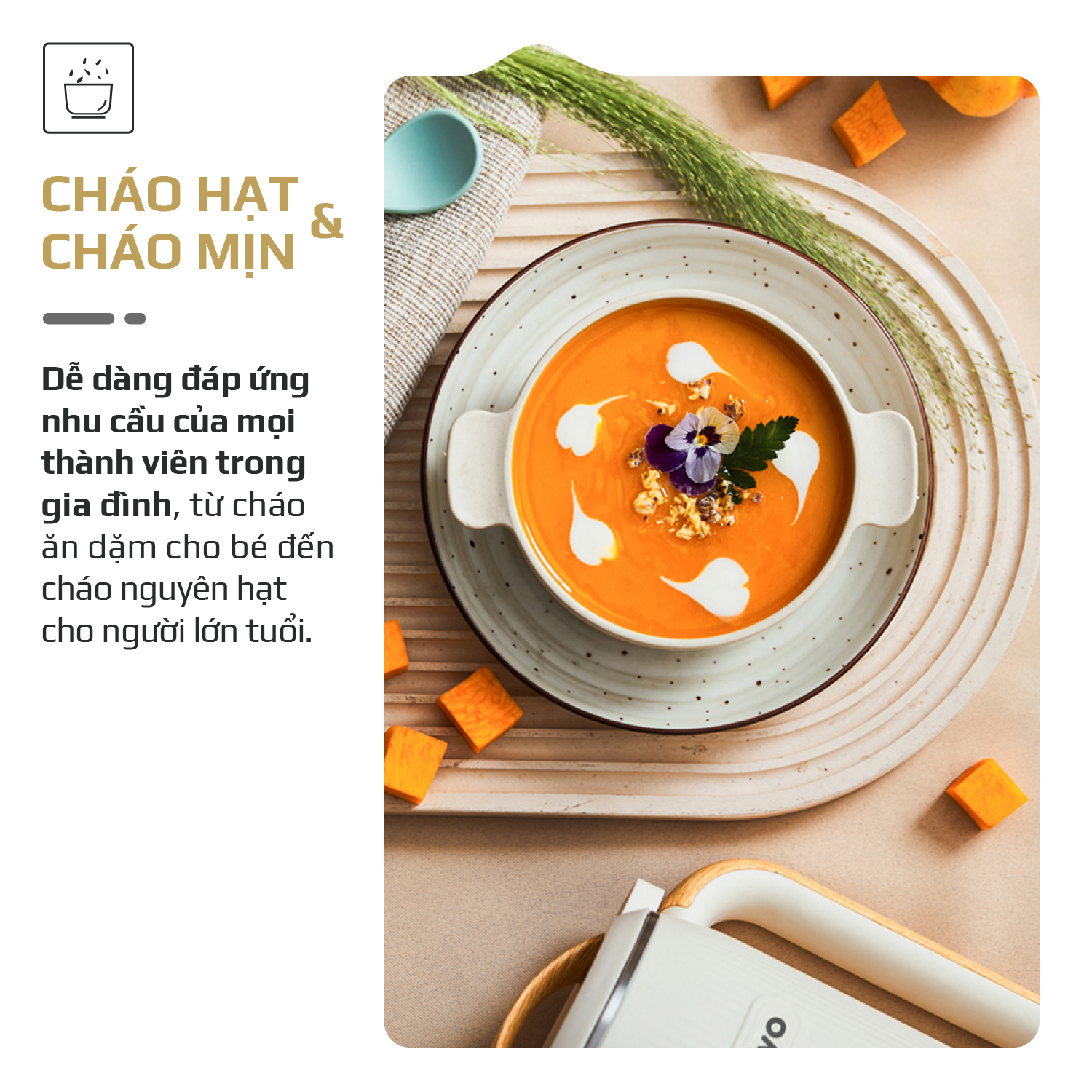 Máy Làm Sữa Hạt OLIVO CB400 – Nhỏ Gọn Tiện Mang Theo – Đa Chức Năng