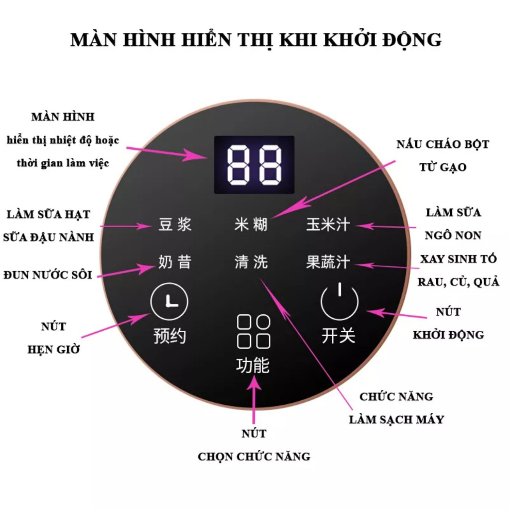 Máy làm sữa hạt ZENGON cối thủy tinh