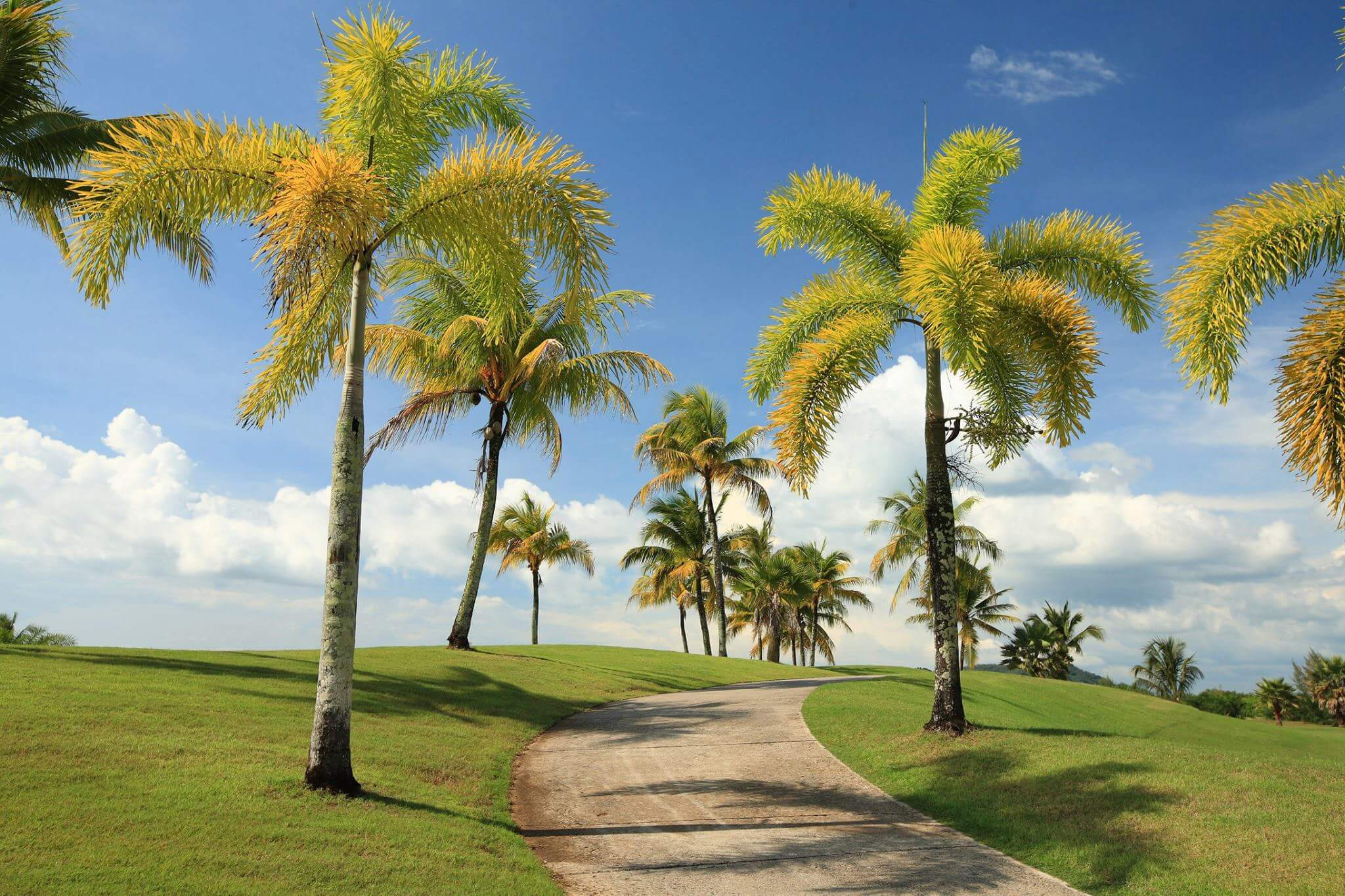 PhuKet Golf Packages