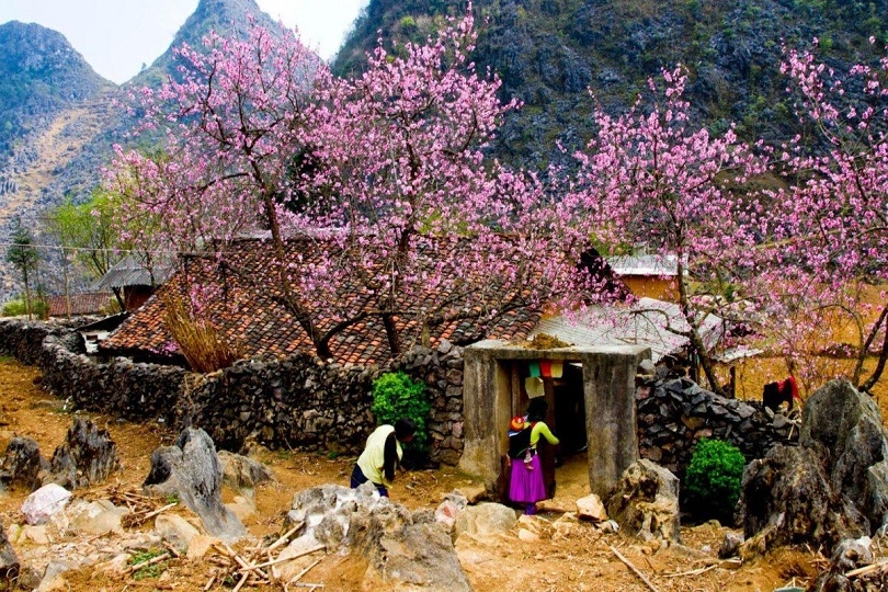Northern Vietnam Mountain Loop