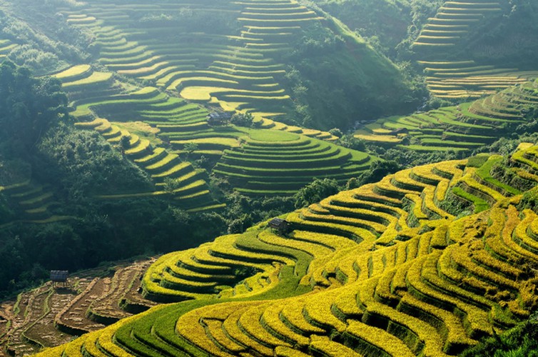 Mu Cang Chai & Sapa Photography 6 Days