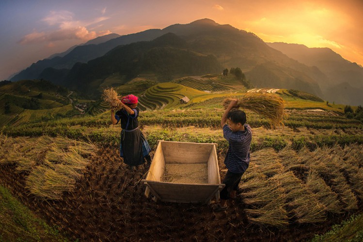 Mu Cang Chai & Sapa Photography 6 Days