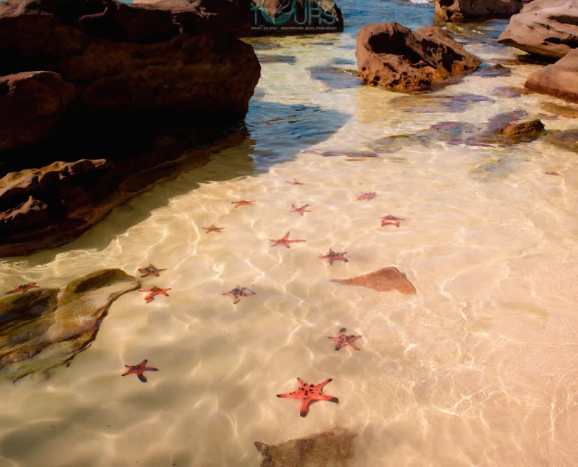 STARFISH BEACH & CUA CAN KAYAKING- PHU QUOC DAY TRIP