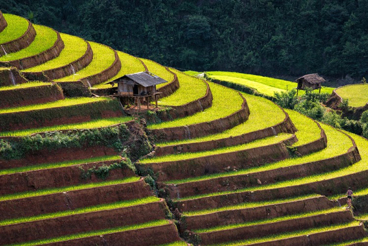Mu Cang Chai & Sapa Photography 6 Days