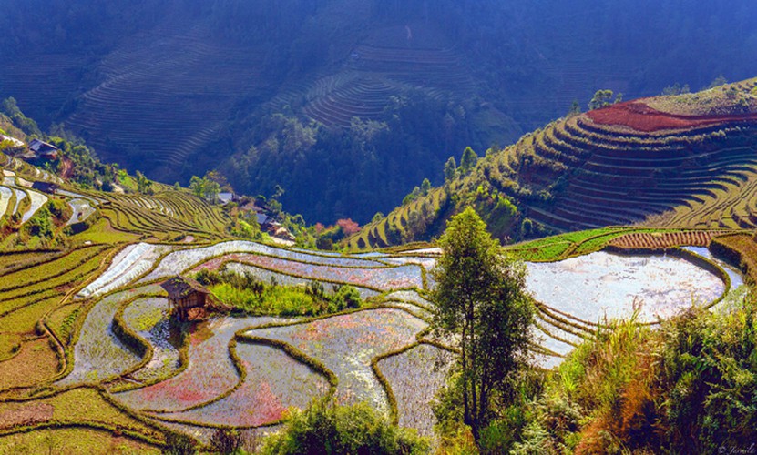 Mu Cang Chai & Sapa Photography 6 Days