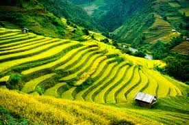 Sapa Tour 2 Days By Train