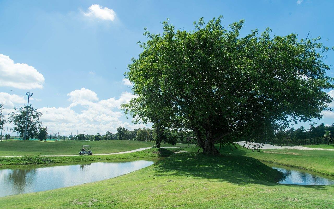 North Hill Golf Club