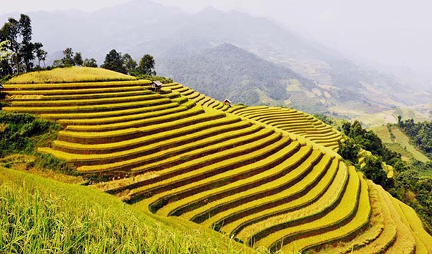 Mu Cang Chai & Sapa Photography 6 Days