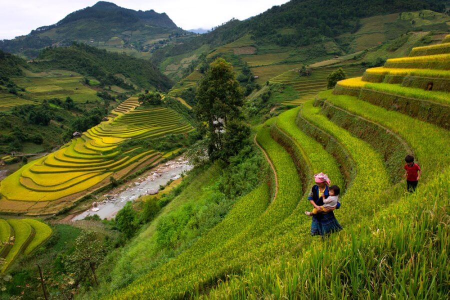 6 Days 5 Nights Hanoi, Ha Long Overnight Cruise & Sapa By Private Car