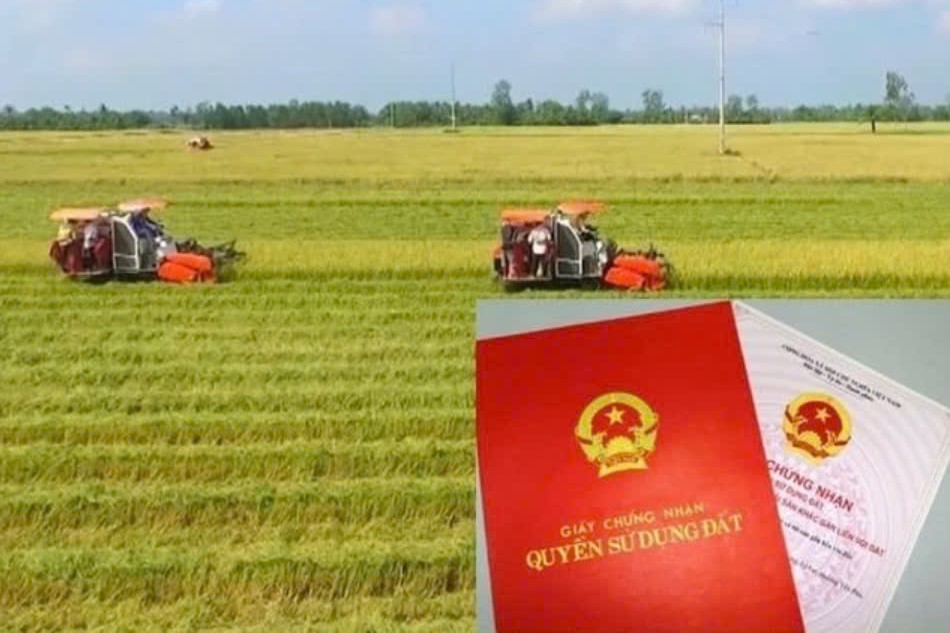 Người dân dễ dàng chuyển từ đất nông nghiệp lên đất thổ cư theo Luật mới 2024 nhờ quy định này, nên biết để làm thủ tục