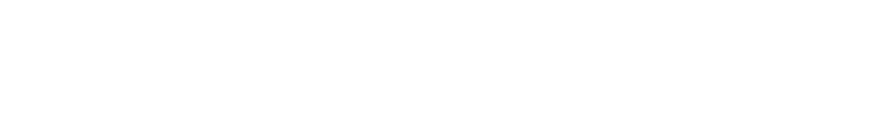 logo Toshiba Home Style