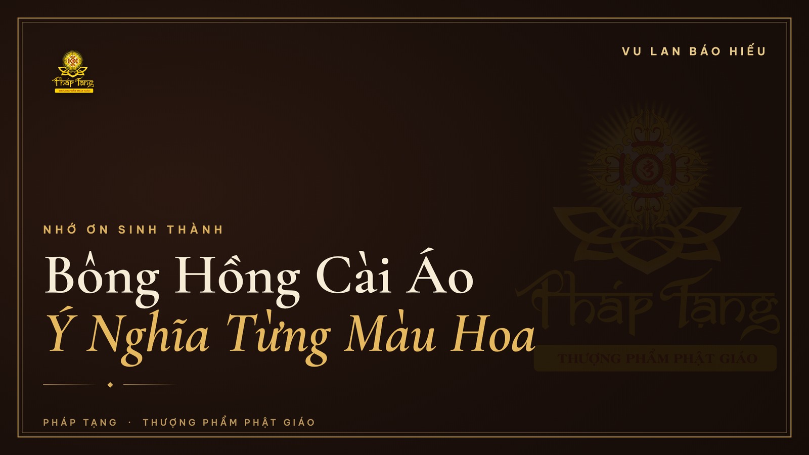 Bông Hồng Cài Áo Vu Lan: Ý Nghĩa Từng Màu Hoa & Nguồn Gốc