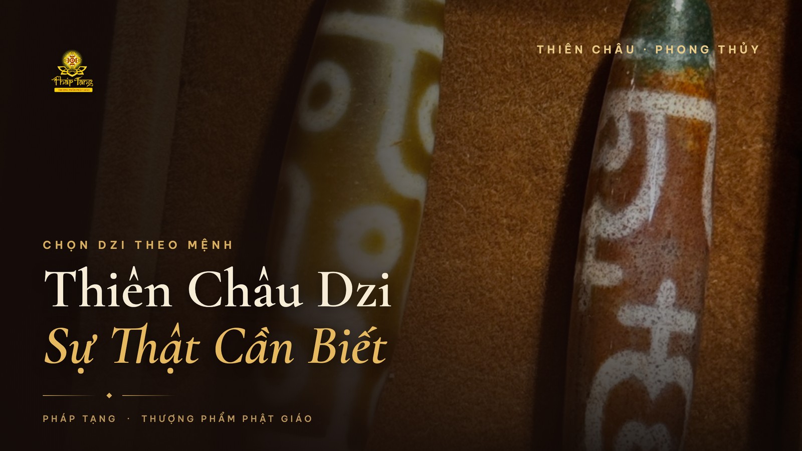 Thiên Châu Dzi Là Gì? Sự Thật Về Việc Chọn Dzi Theo Mệnh & Số Mắt