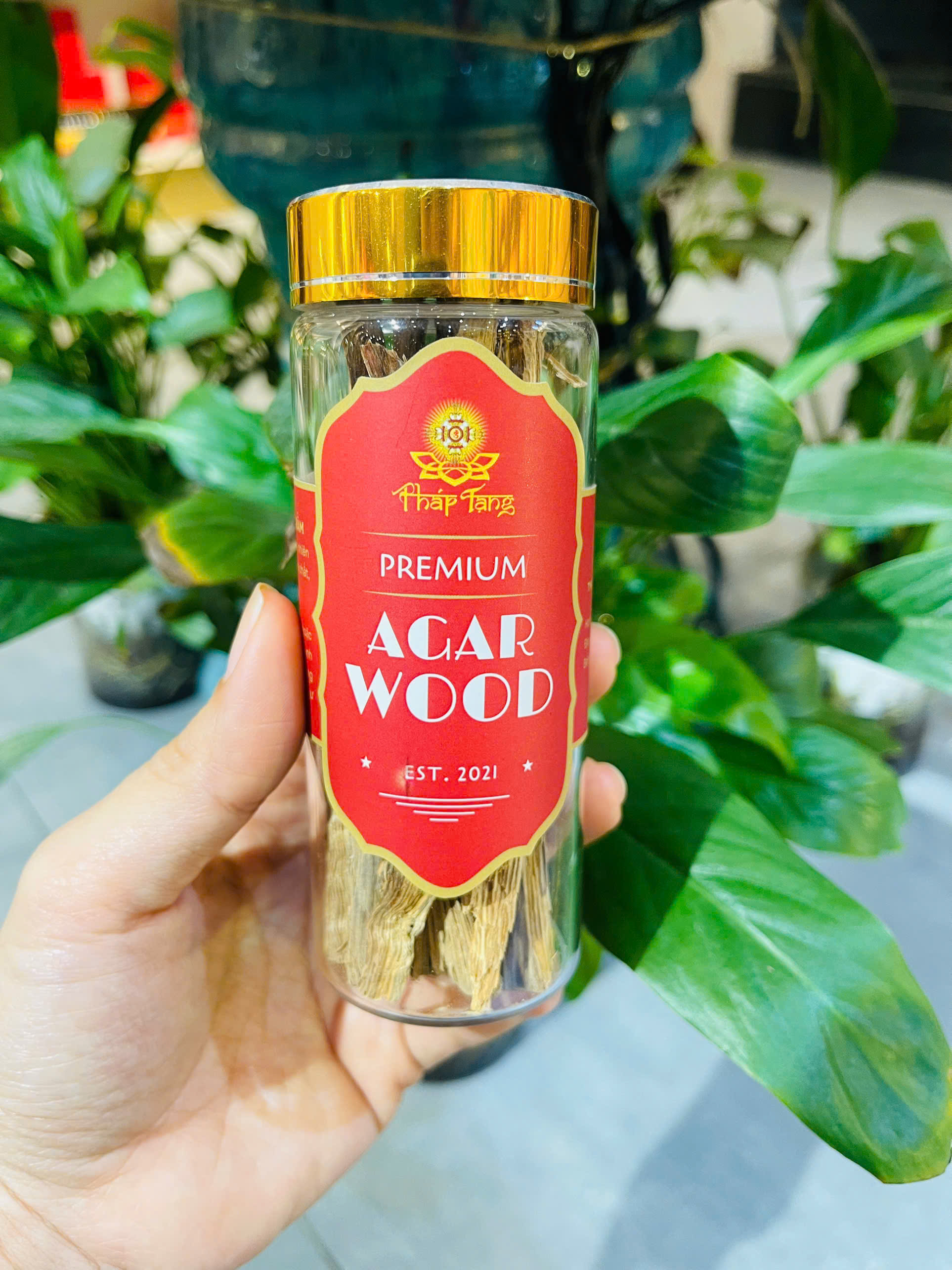 Trầm miếng Khánh Hòa nguyên chất dùng xông và làm nhang trầm hương