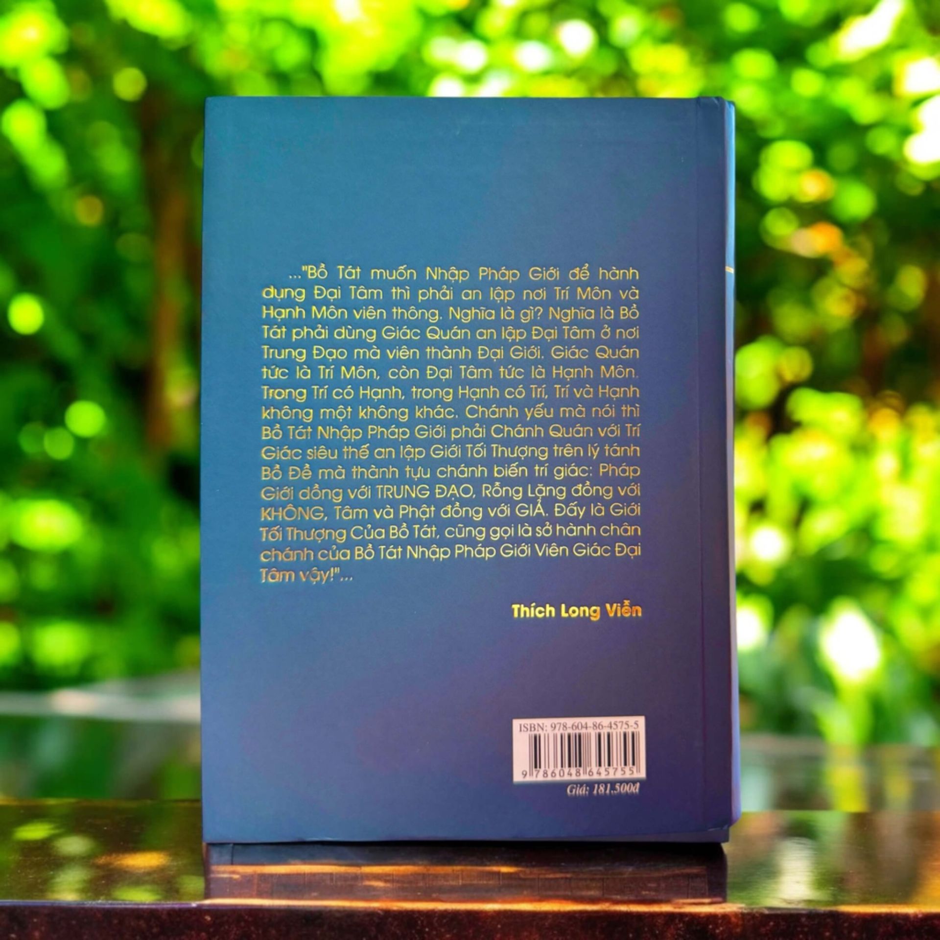 Đại Thừa Nhãn Tạng Chánh Yếu – Tập 1 | Tỷ Kheo Thích Long Viễn