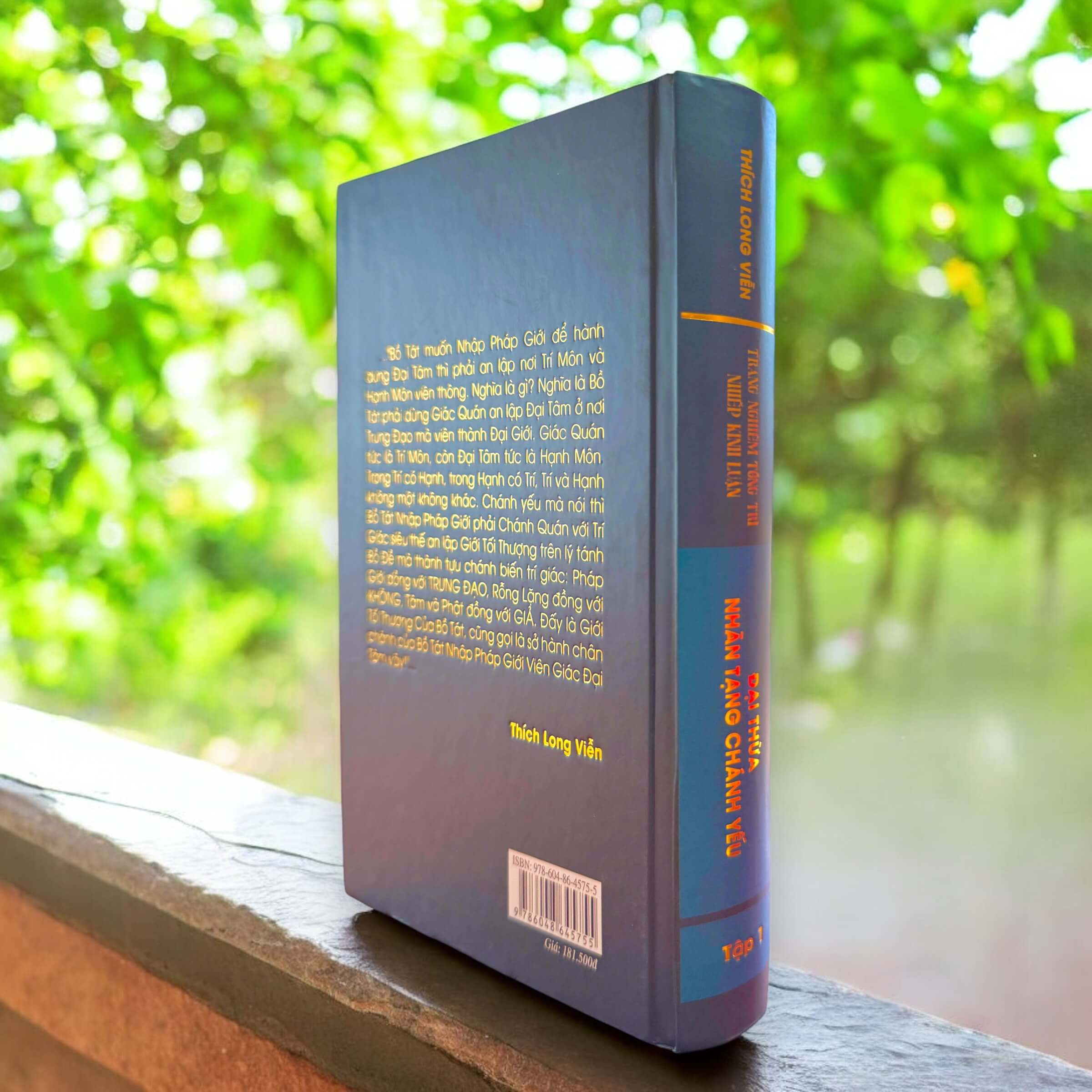 Đại Thừa Nhãn Tạng Chánh Yếu - Tập 1