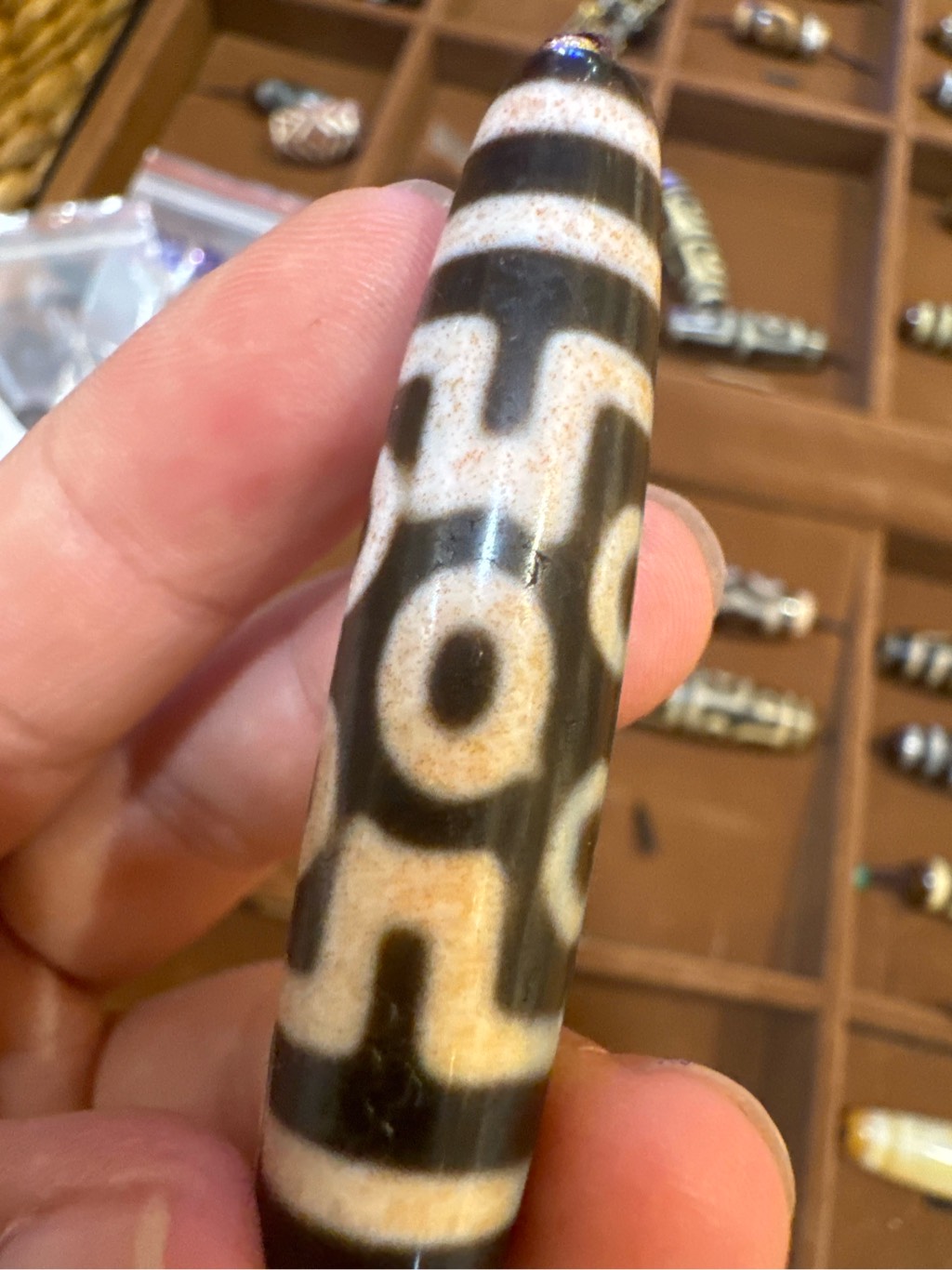 DZI 7 MẮT THÂN CHU SA 6CM