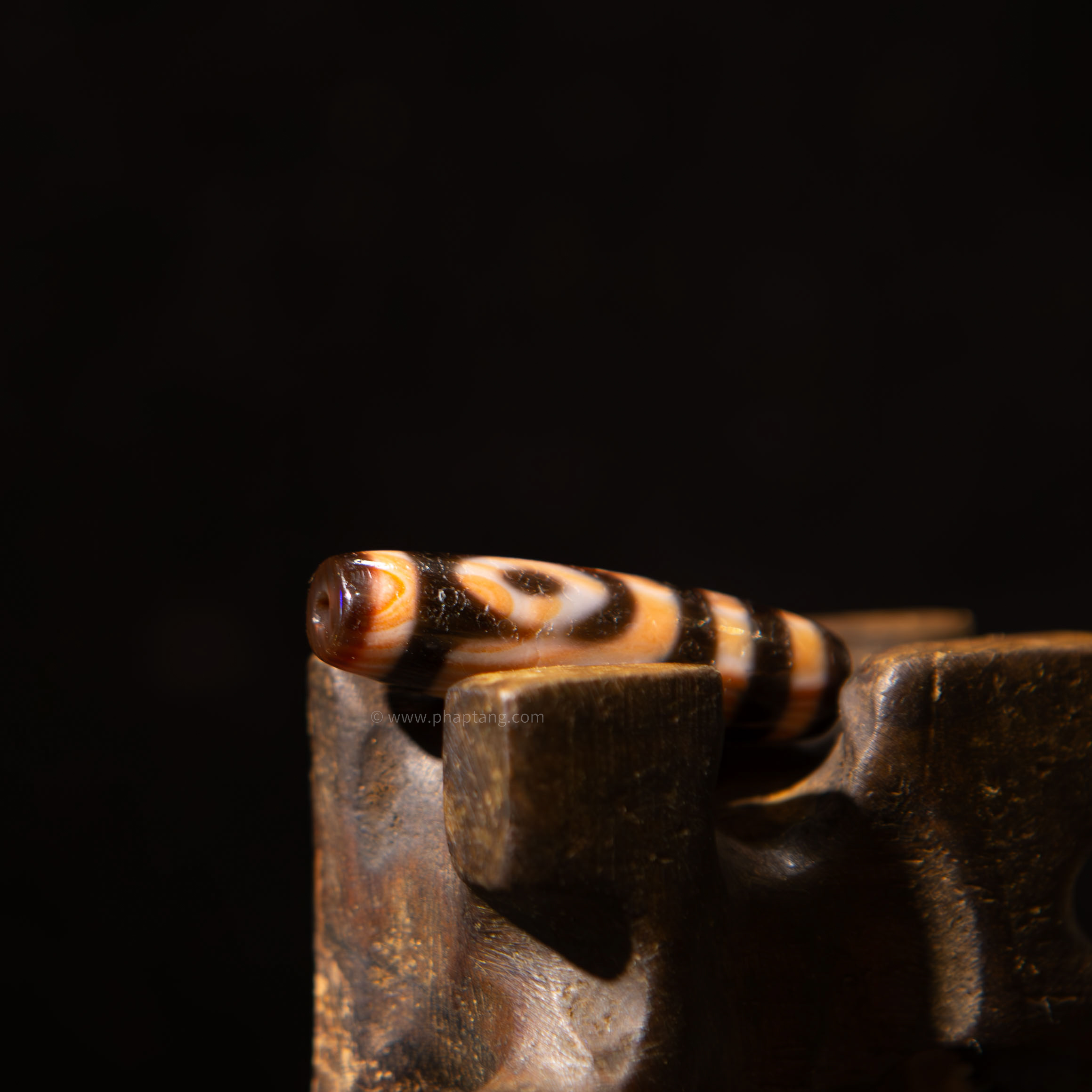 DZI HÀNH GIẢ 2 MẮT THÂN CHU SA ĐỎ 36.CM