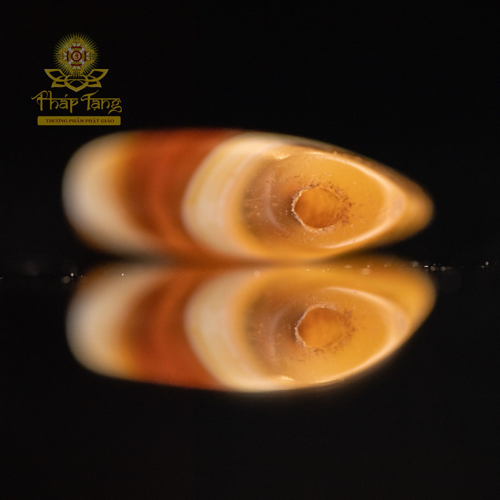 Đá Agate Cổ Dáng Vai Bò (Tây Tạng) - Biểu Tượng Sức Mạnh & Bảo Hộ