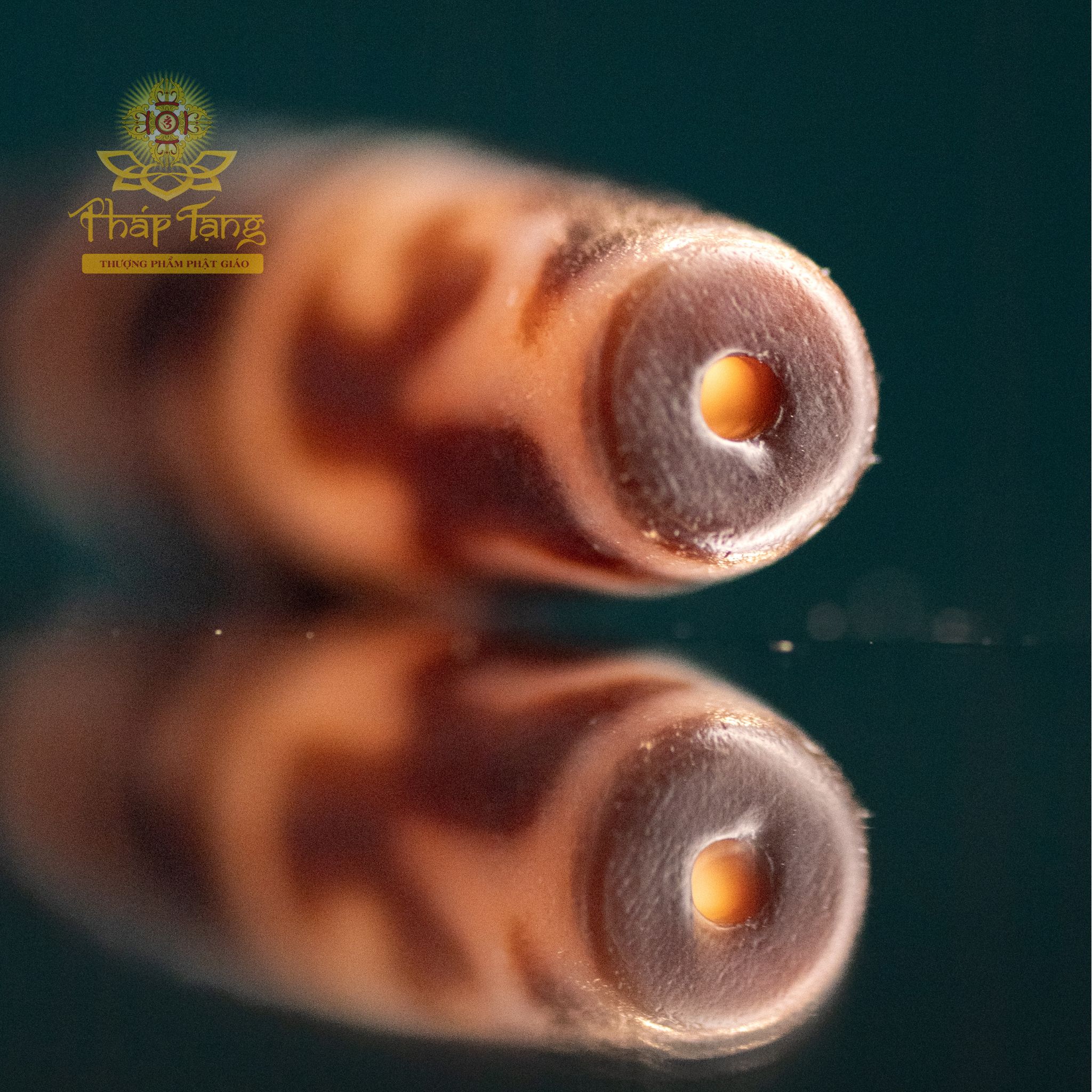 Dzi 3 Mắt Liên Hoa Sanh 4.2CM (Dzi Của Hành Giả) | Hội Tụ Tài Lộc & Giác Ngộ